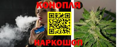 мдпв Гусев