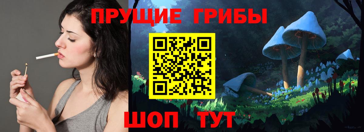 Псилоцибиновые грибы GOLDEN TEACHER  купить закладку  Красноперекопск  Вход с VPN  Галлюциногенные грибы GOLDEN TEACHER 